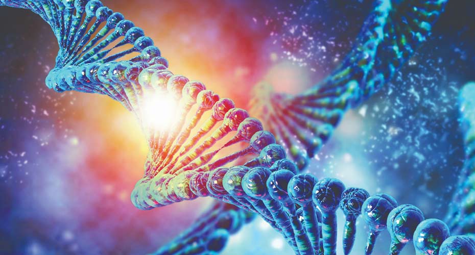 Genomics DNA
